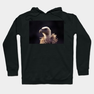 vulture head, portrait Hoodie